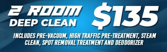 A-Team---2-room-deep-clean-banner A blue banner with the words " zoom clean $ 1 9. 0 0 ".