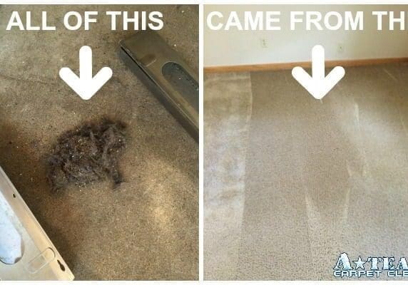 Carpet cleaning results: before and after.