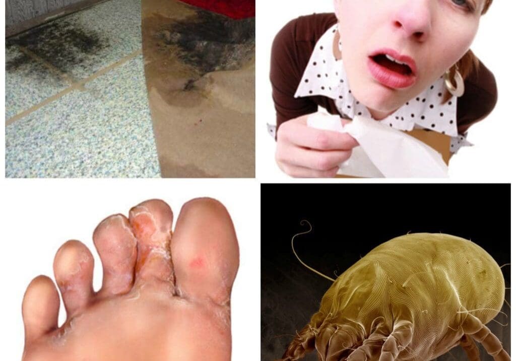 A collage of pictures with the foot and feet