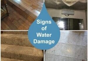 Signs of water damage in various areas.