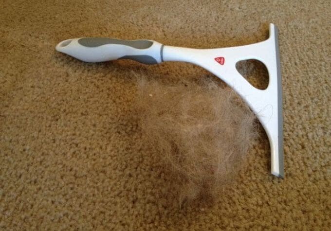 Pet hair remover on carpet with hairball.
